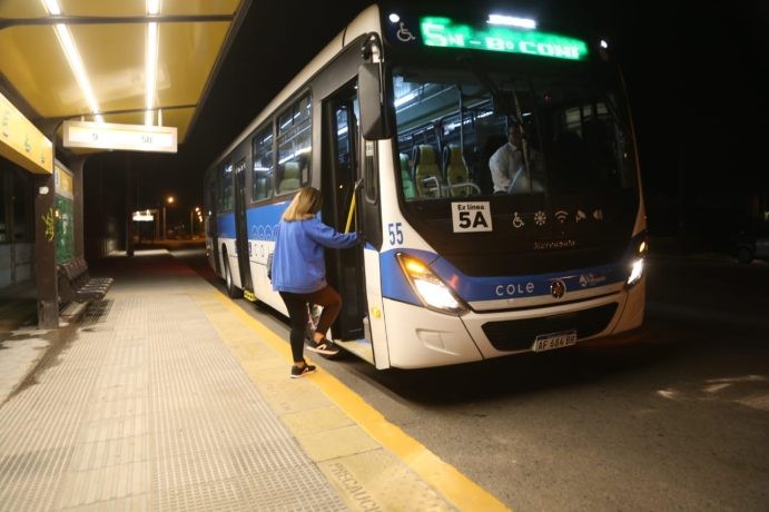 Debutó COLE, el nuevo sistema de transporte público que cubrirá la ciudad con unidades 0km