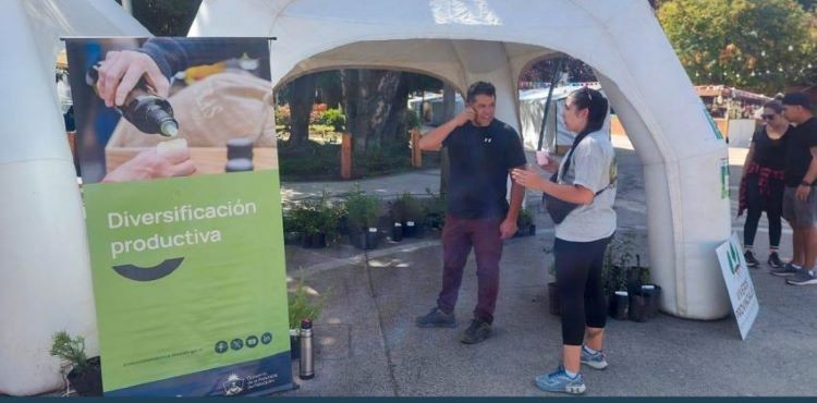 ¡Éxito Ecológico! Primer Encuentro de Viveros en San Martín de los Andes