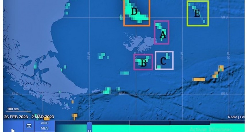 Pesqueros con banderas de España, Corea, Taiwán y Falklands, abrieron la temporada de saqueo de calamar en Malvinas