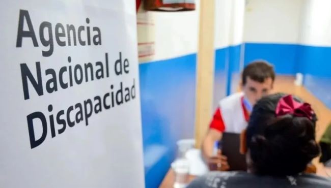 Milei arremete: 163 despidos Más en Agencia de Discapacidad
