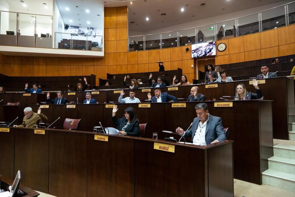  Rechazan declaración de la Legislatura de Mendoza que asegura que los mapuches no son pueblos originarios