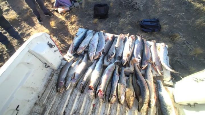Atrapados con las manos en la masa: ¡Se descubre operación de pesca ilegal!