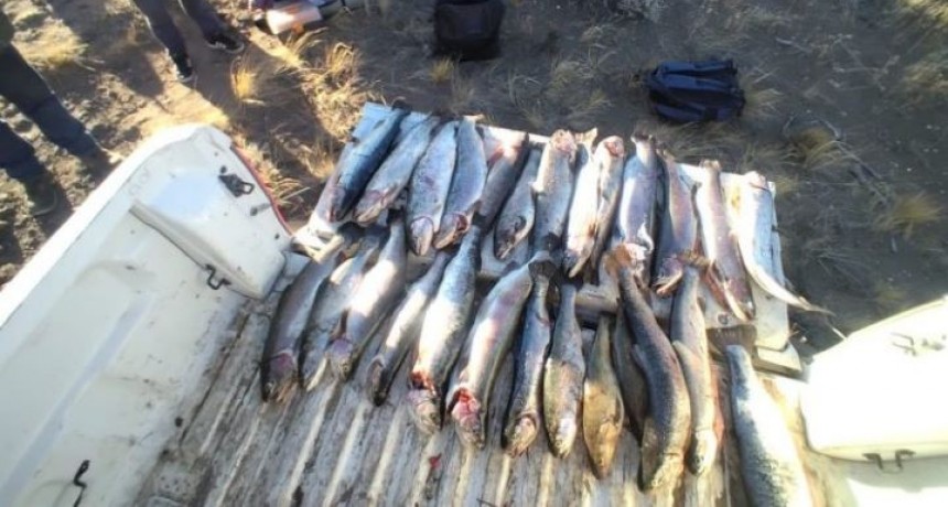 Atrapados con las manos en la masa: ¡Se descubre operación de pesca ilegal!