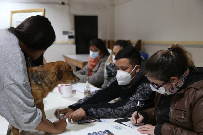 Con una gran convocatoria, se realizó una jornada de vacunación antirrábica y de desparasitación gratuitas de perros y gatos en San Lorenzo Norte