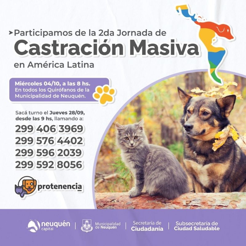 Neuquén Lidera en Castración Gratuita de Mascotas en América Latina